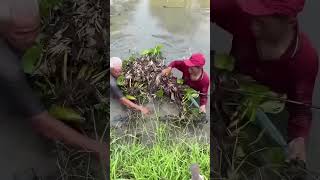 fishingtips carpfishing fish catfish fishing funny abrazzkhan bollywoodmusic comedy [upl. by Gamin]