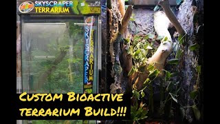 DIY Bioactive Terrarium Build [upl. by Martineau414]