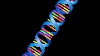 DNA Chromosomes and Genes [upl. by Sophi]