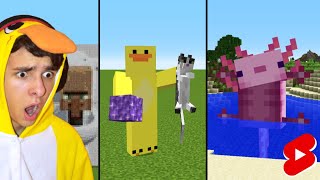 Best of Twi Shorts  2023 Minecraft Shorts [upl. by Ariamoy]