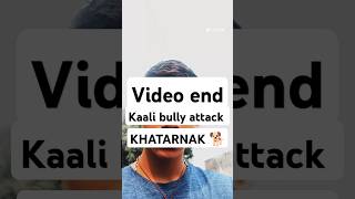 American bully VS kaali bully 😱😱 viralvideo dogshorts [upl. by Eicyaj525]