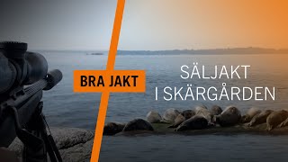 Säljakt  En bättre premiär i skärgården  BRA JAKT [upl. by Eleni472]