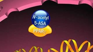 Mechanism of Action of Aminosalicylates [upl. by Eerdua]