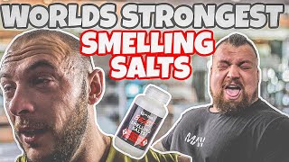 I tried the Worlds Strongest Smelling Salts  Shoulder Workout [upl. by Starlene829]