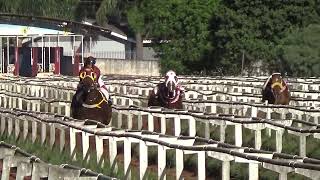 5 ELIMINATORIA  II GP LORENO AGNE SOARES 400M  TIRO DESEJADO  CARAZINHO [upl. by Hump911]