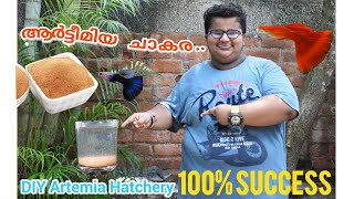 Artemia HatchingSecrets Unveiledആർട്ടീമിയ ചാകരDIY Artemia Hatchery100 Success [upl. by Hibbs731]