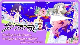 Darling in the FranXX ending 15 cover español [upl. by Nyltiac]