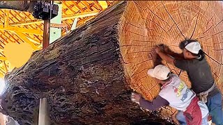 Rain tree monster shocks America ‼ world class trembesi wood sawmill [upl. by Shaya]