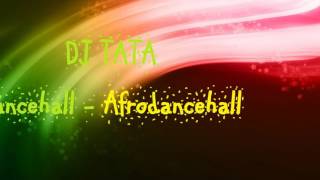 Dancehall  Afrodancehall Mix Cartagena Dj Tata  2 [upl. by Zolly]