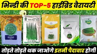 तोड़ते तोड़ते थक जाओगे इतनी पैदावार होगी  Bhindi Ki Top 5 Hybrid Variety  Bhindi Ki Hybrid Variety [upl. by Bayly]