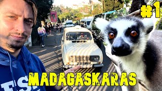 MADAGASKARAS 1 ATŠAUKTAS SKRYDIS IR LEMŪŪŪŪŪRAI [upl. by Name464]