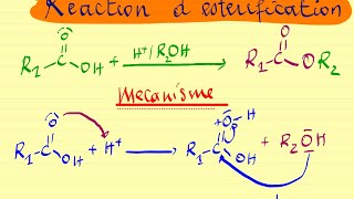 Réaction d’estérification [upl. by Ehtylb]