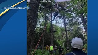 Glider pilot gets stuck in tree after crash in White Mountains Fish amp Game says [upl. by Ateiram]