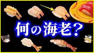 【ゆっくり解説】大手回転寿司店は公表してない⁉️回転寿司のあの海老…何のエビ？を解説スシローのエビは●●エビ…？甘エビ、ボタンエビ、ブドウエビなど [upl. by Estrellita]