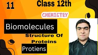 Biomolecules Class 12th Proteins Structure Of Proteins [upl. by Alano]