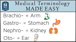 Medical Terminology MADE EASY Root Words Nursing Students Coding [upl. by Aala]