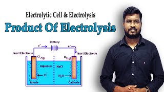 18Products of Electrolysis  Electrolytic Cell amp Electrolysis  Electrochemistry  in Tamil [upl. by Akire]