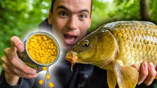 How To Catch Carp With Corn Easy and cheap bait for carp fishing [upl. by Ibson]