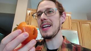 Fuyu Persimmon vs Hachiya Persimmon  Fruit Tasting [upl. by Einhorn]