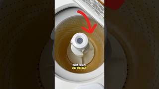 I Saved This Washing Machine cleaning satisfying cleaningtips [upl. by Aidole]