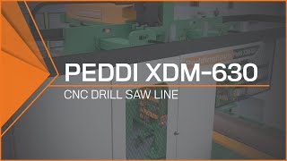 CNC Drill Saw Line  Peddi XDM630 MultiSpindle Drilling [upl. by Lerej]