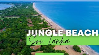 JUNGLE BEACH SRI LANKA – Resort by Uga Escapes Where the jungle meets the beach [upl. by Annaihs40]