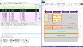 ICMPv4 ampamp ICMPv6 IP Headers on Wireshark [upl. by Aldas]