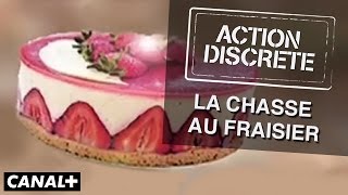 La chasse au fraisier  Action Discrète [upl. by Schaffer]