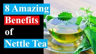 8 Amazing Benefits of Nettle Tea  Health Benefits of Nettle Tea [upl. by Annaes]