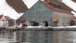 Whaling stations of Stromness Bay [upl. by Elnore]