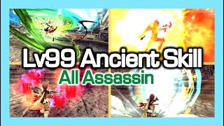 All Assassin Lv99 Ancient Skill Animation Showcase  Dragon Nest [upl. by Pattin]