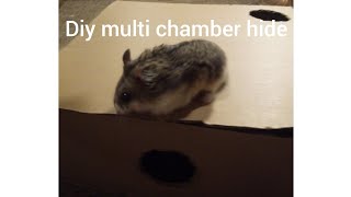 How to make a multi chamber hide for a hamster 🐹 [upl. by Odlopoel]