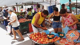 A FEIRA DE RUA EM PANELAS PE TEM FRUTAS E VERDURAS COM PREÇO JUSTO ISTO É NORDESTE É BRASIL 02 10 [upl. by Ellehcen]