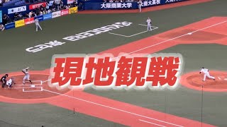 京セラドーム大阪 1塁上段内野指定席 20231029 日本シリーズ第2戦 大山悠輔 [upl. by Attelra]