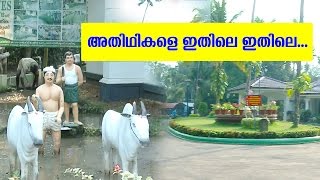 Kerala Farm Tourism Welcomes Christmas Season  Haritham Sundaram  Kaumudy TV [upl. by Varick788]