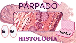 Histología del Parpado [upl. by Violet756]