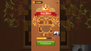 Wooden Block Jigsaw Puzzle Level 291  300 Walkthrough [upl. by Elwin]