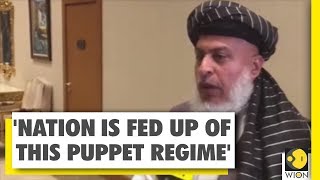 WION speaks to Talibans political chief Abbas Stanikzai  WION Exclusive [upl. by Peery754]