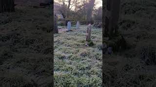 ASMR In A Graveyard [upl. by Alikat605]