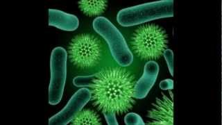 beneficial and harmful effects of microorganisms [upl. by Nedroj221]