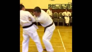 Goju Ryu Karate  Sparring 2 [upl. by Repsac252]