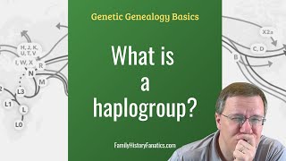 What is a Haplogroup  Genetic Genealogy Explained [upl. by Skyla386]