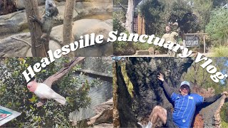 Healesville Sanctuary Zoos Victoria vlogs [upl. by Eintirb780]