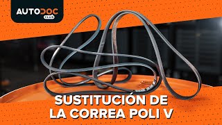 Cómo cambiar la correa poli V VÍDEO TUTORIAL DE AUTODOC [upl. by Adidnac]