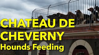 Feeding of hounds at Château de Cheverny France [upl. by Alyson260]