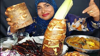 EATING SPICY GAINT TARO BHARTA KOCHU BHARTA FISH CURRY WITH RICE EATING ASMR MUKBANG [upl. by Ellenhoj]