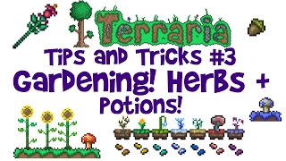 Terraria Gardening Guide Mushroom Herb Potion Farm etc Tips amp Tricks 13 AND consolemobile [upl. by Adnarom871]