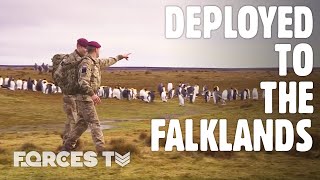 Guardians Of The South Atlantic UK Forces In The Falklands  Forces TV [upl. by Hazmah]