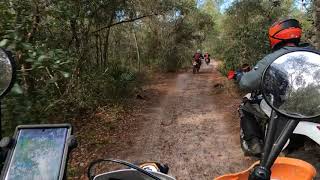 Ocala National Forest Dirt Biking KTM Husqvarna Yamaha Honda [upl. by Leiuqese]