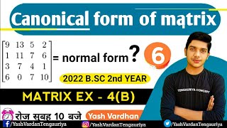 6  NORMAL amp CANONICAL FORM OF MATRIX  Maths BSc 2nd year in hindi Lec  5 by  yash vardhan [upl. by Airt304]